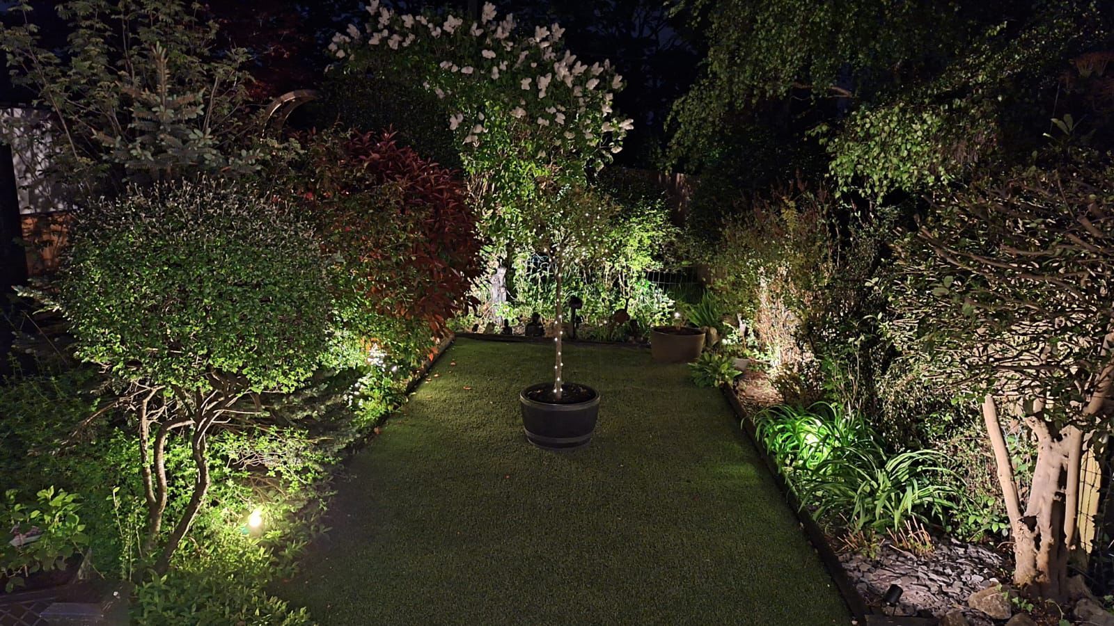 Garden with spike lights and uplighting at night
